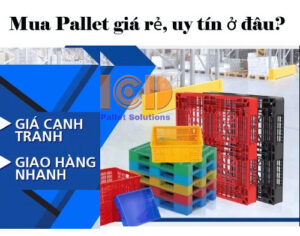 mua-pallet-tốt-uy-tín-ở-đâu